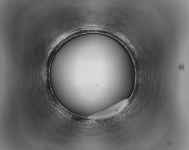 X0000098131167200805011315