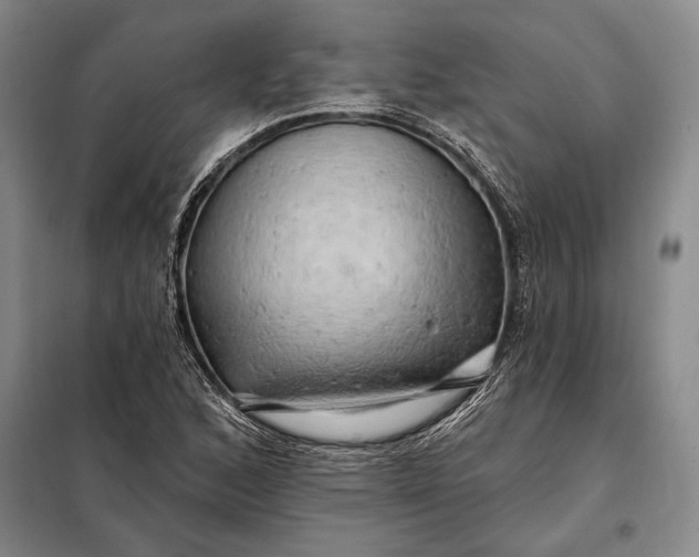 X0000098131168200805011315