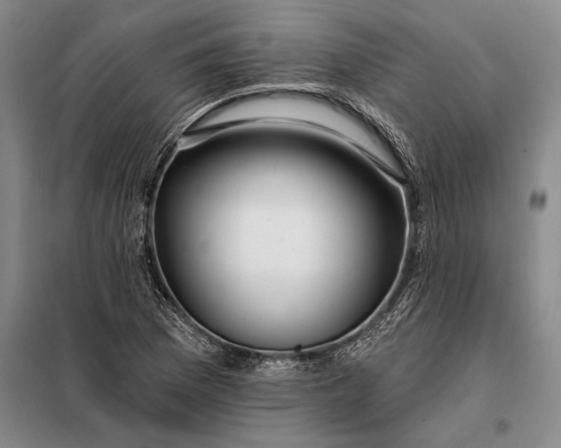 X0000098131169200805011315