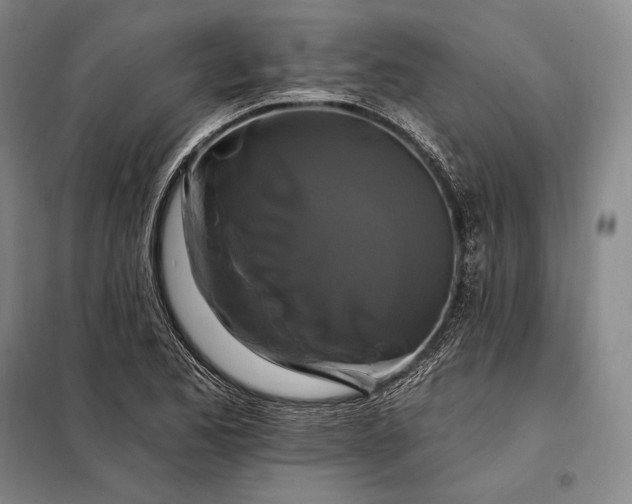 X0000098131173200805011314
