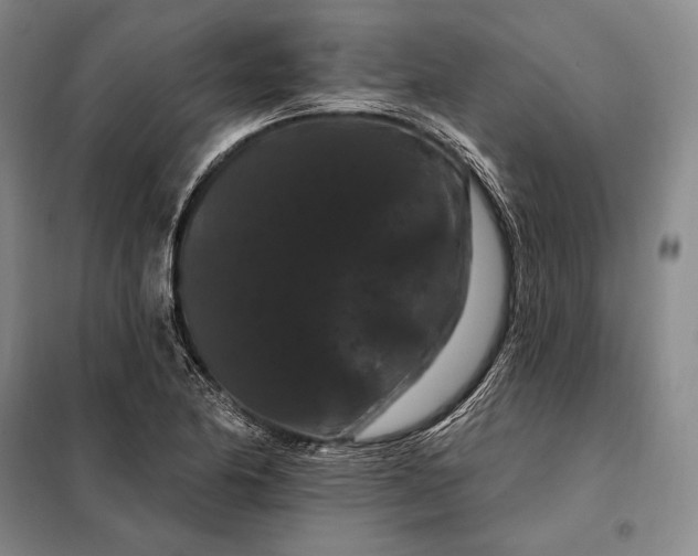X0000098131174200805011314