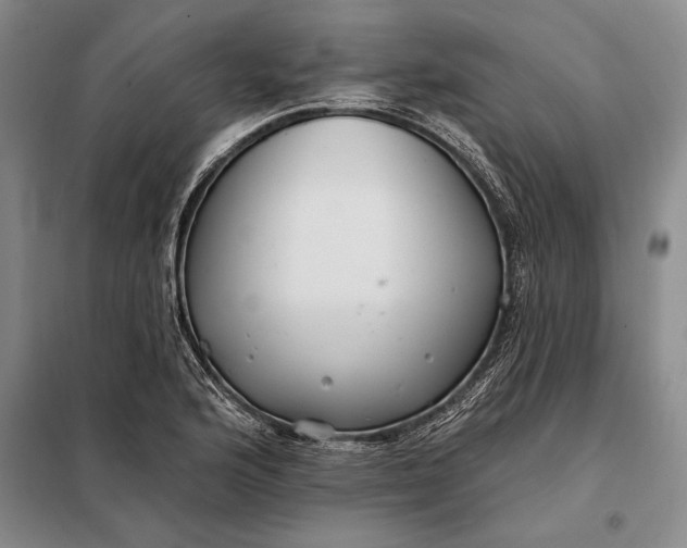 X0000098131176200805011314