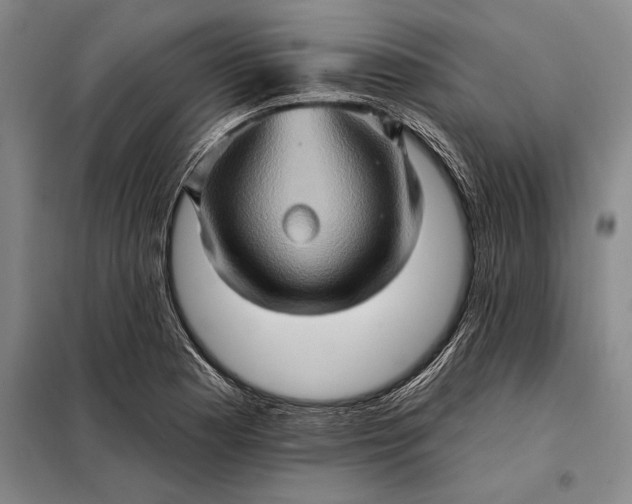 X0000098131177200805011314