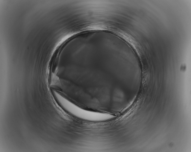 X0000098131179200805011314