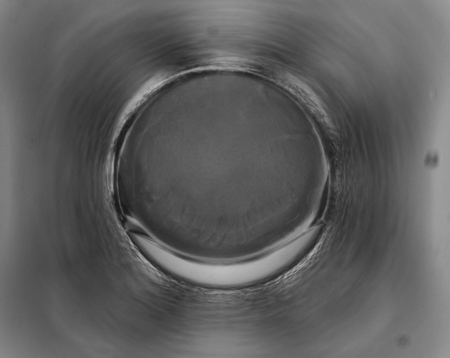 X0000098131180200805011314