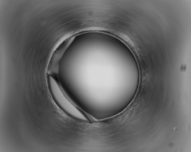 X0000098131181200805011314