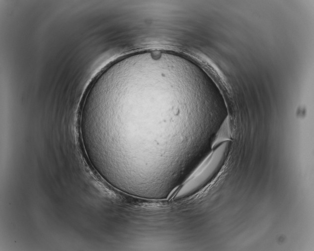X0000098131182200805011314