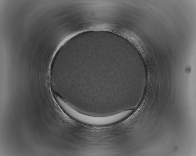 X0000098131184200805011314