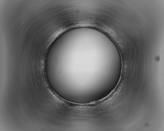 X0000098131185200805011314