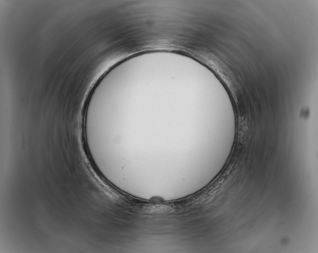 X0000098131187200805011314