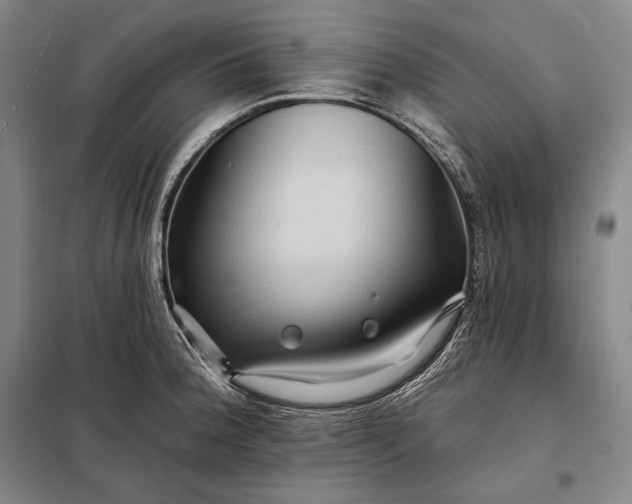 X0000098131188200805011314