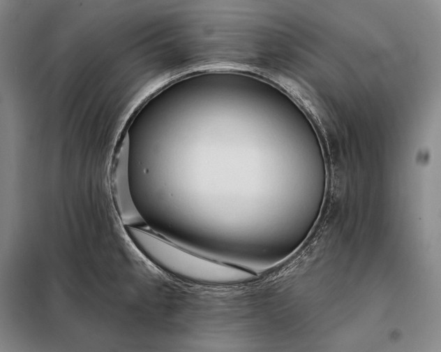X0000098131189200805011314