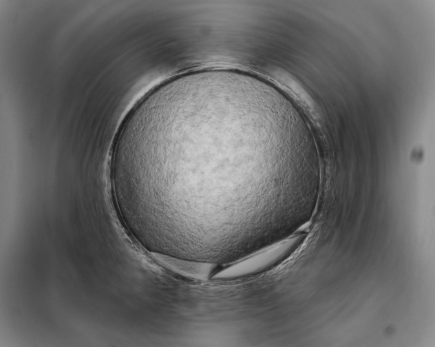 X0000098131190200805011314