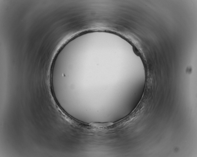X0000098131191200805011314