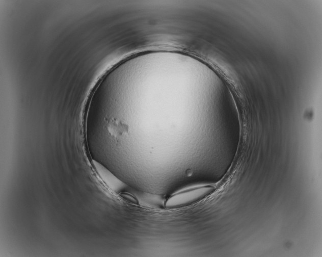 X0000098131192200805011314