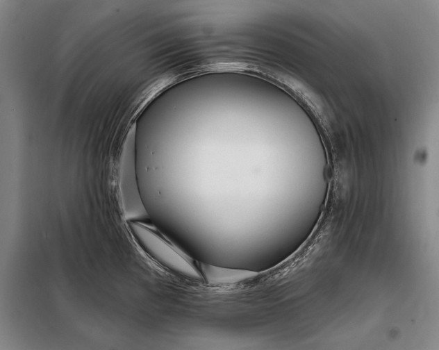X0000098131193200805011314