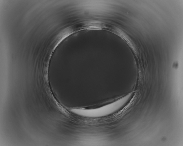 X0000098131194200805011314