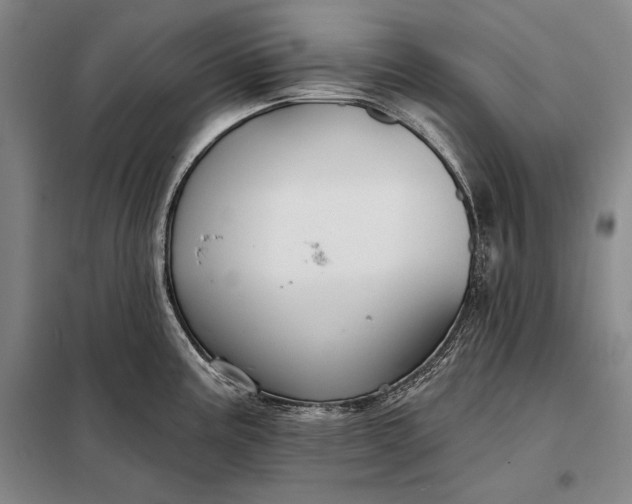 X0000098131195200805011314