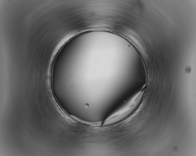 X0000098131196200805011314