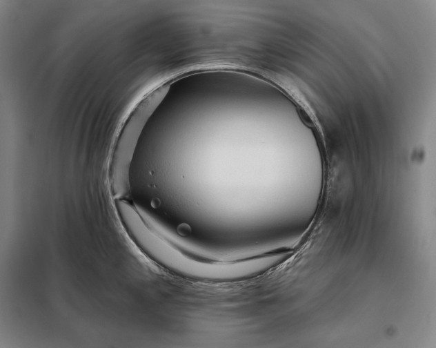 X0000098131197200805011314