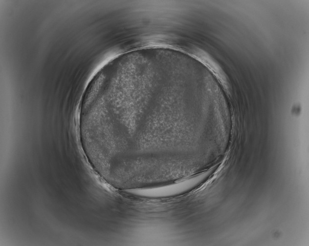 X0000098131198200805011314