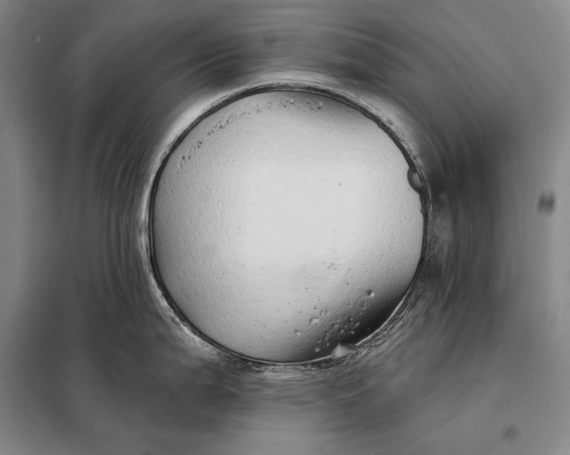 X0000098131199200805011314