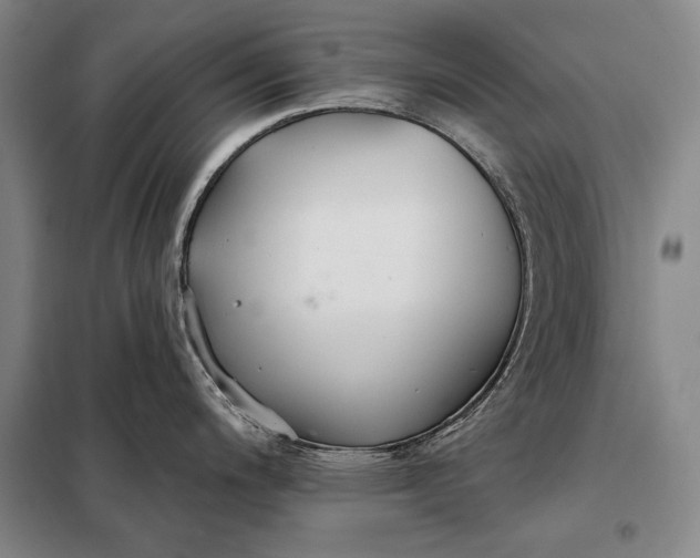 X0000098131200200805011314