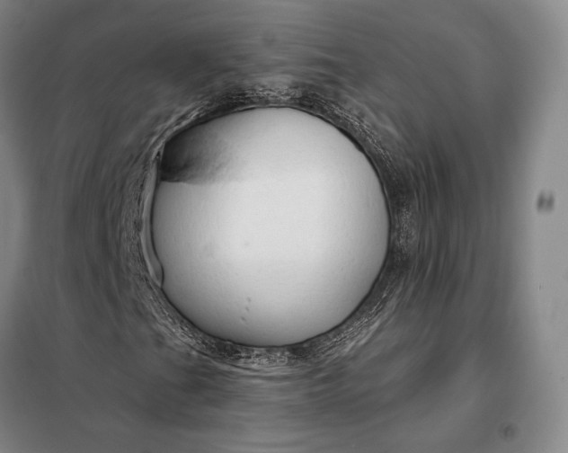 X0000098131201200805011313