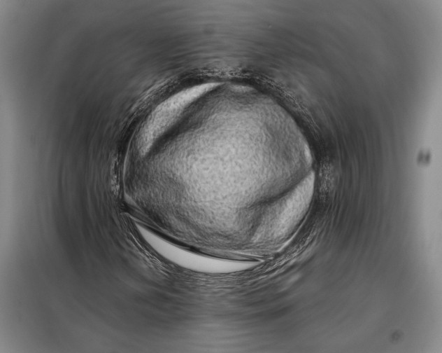 X0000098131202200805011313