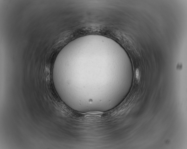 X0000098131203200805011313