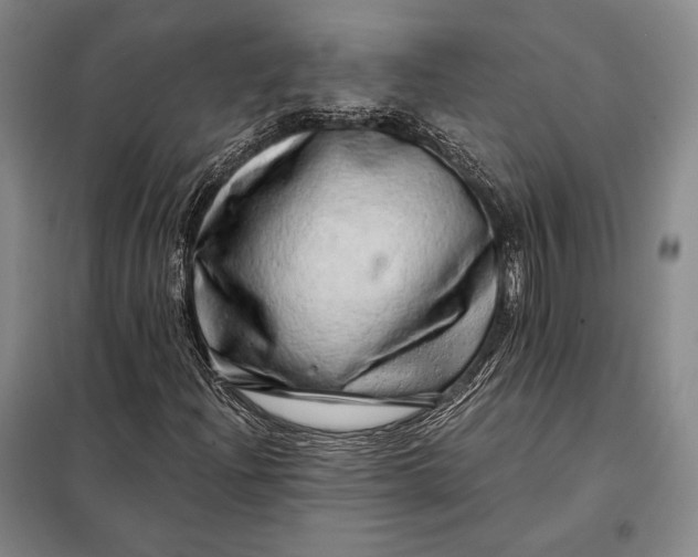 X0000098131204200805011313