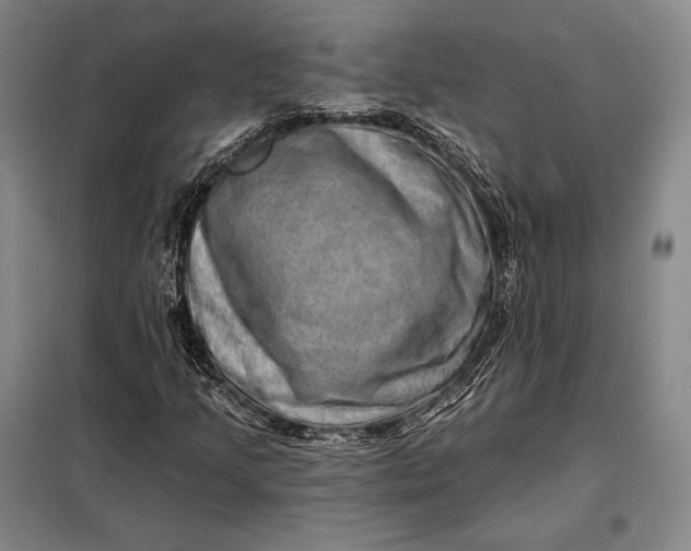 X0000098131205200805011314
