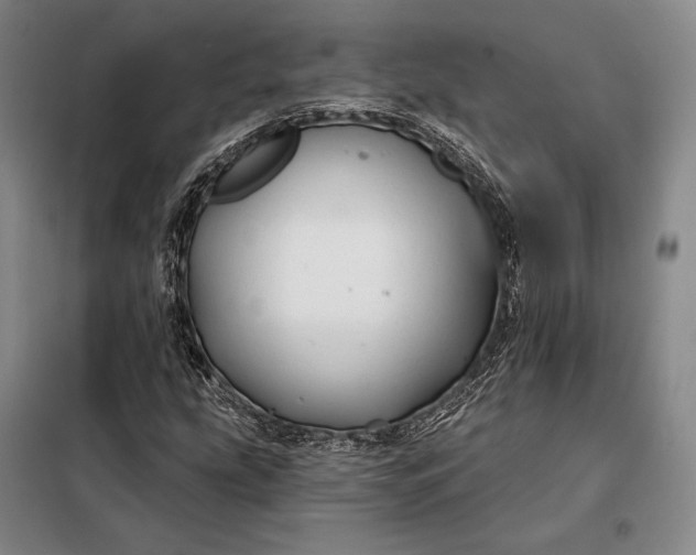 X0000098131207200805011314