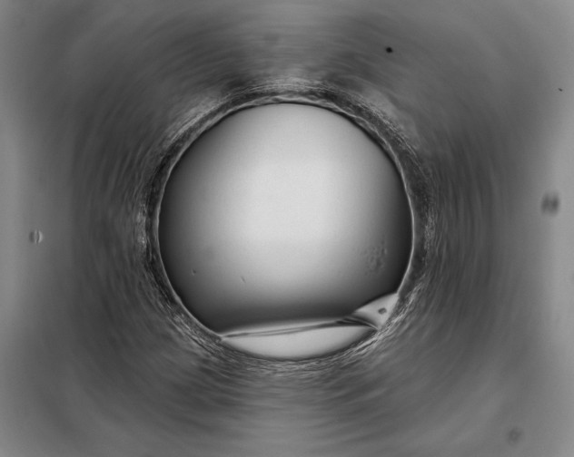 X0000098131209200805011314