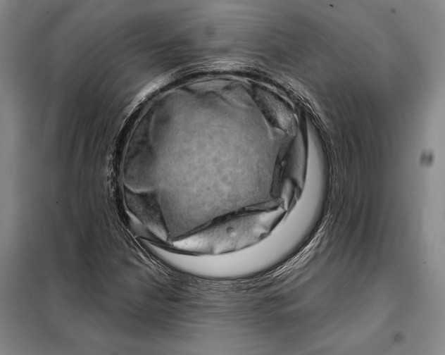 X0000098131210200805011314
