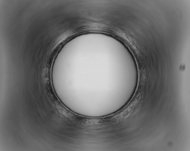 X0000098131211200805011314