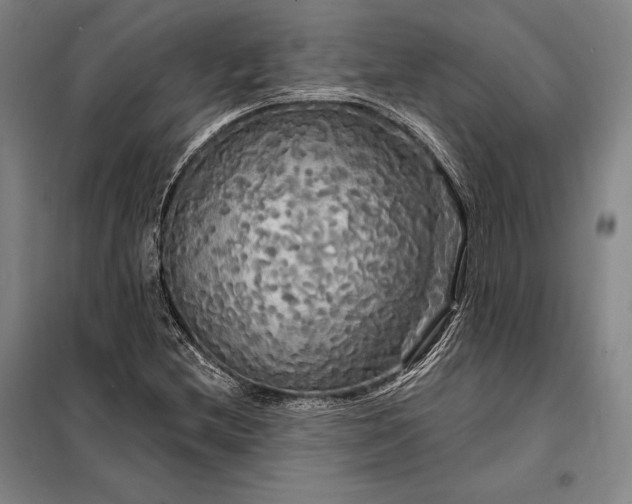 X0000098131212200805011314