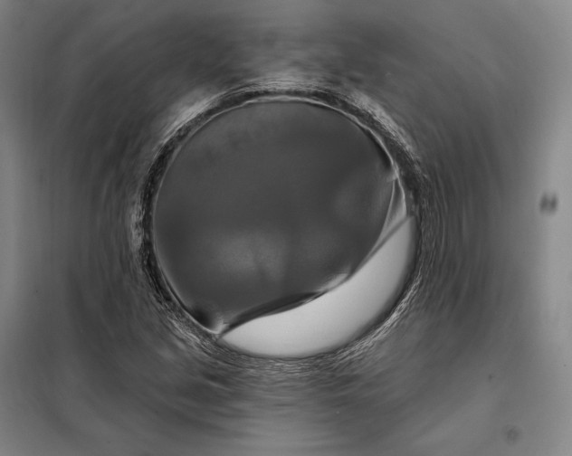 X0000098131213200805011314