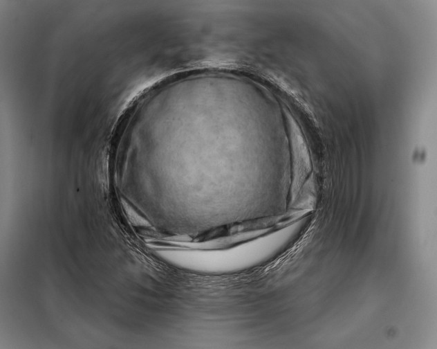 X0000098131214200805011314