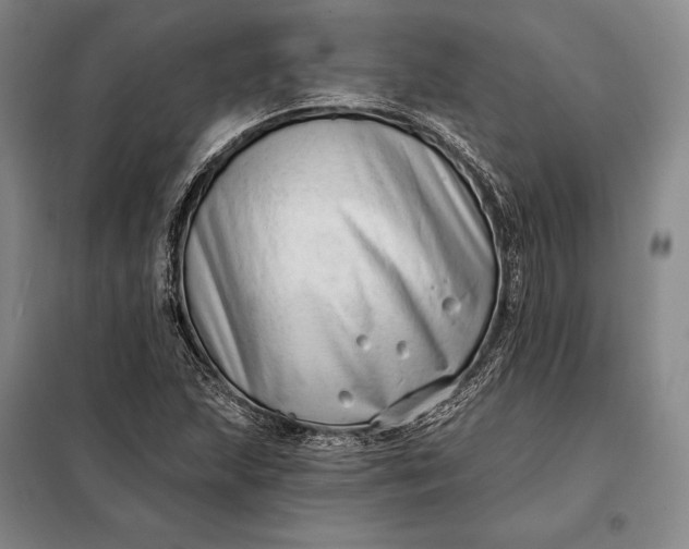 X0000098131215200805011314