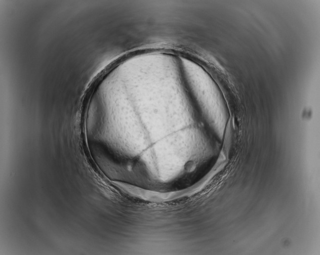 X0000098131216200805011314