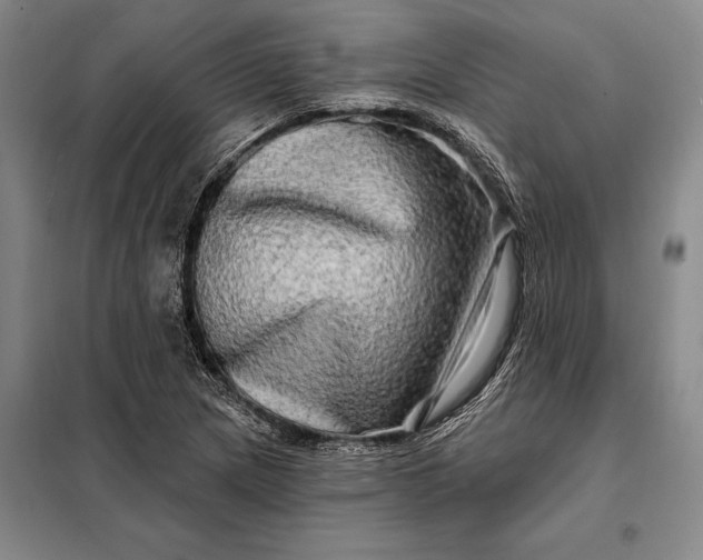X0000098131217200805011314