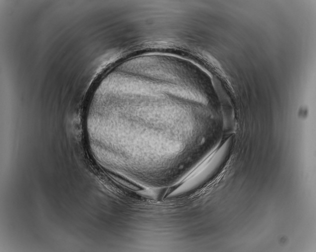 X0000098131218200805011314