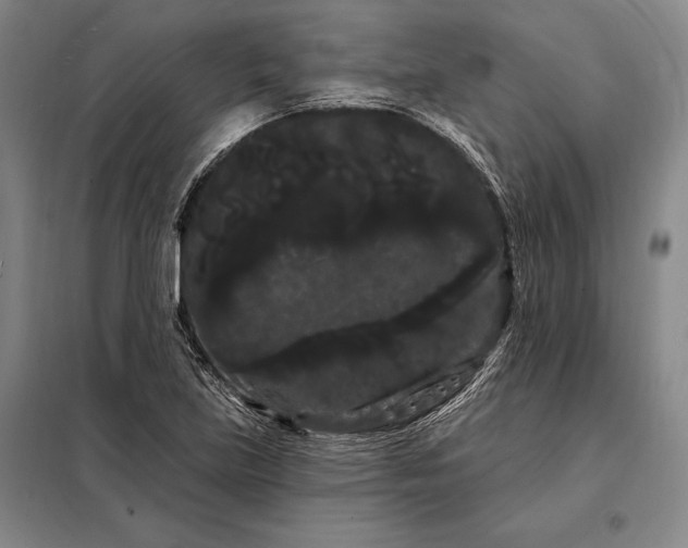 X0000098131219200805011314