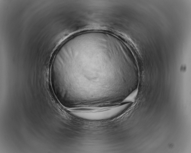 X0000098131220200805011314