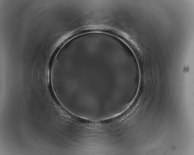 X0000098131221200805011314