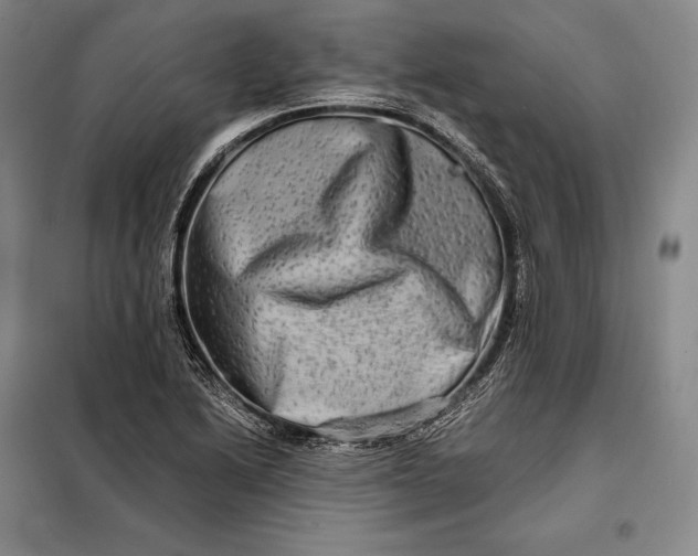 X0000098131222200805011314