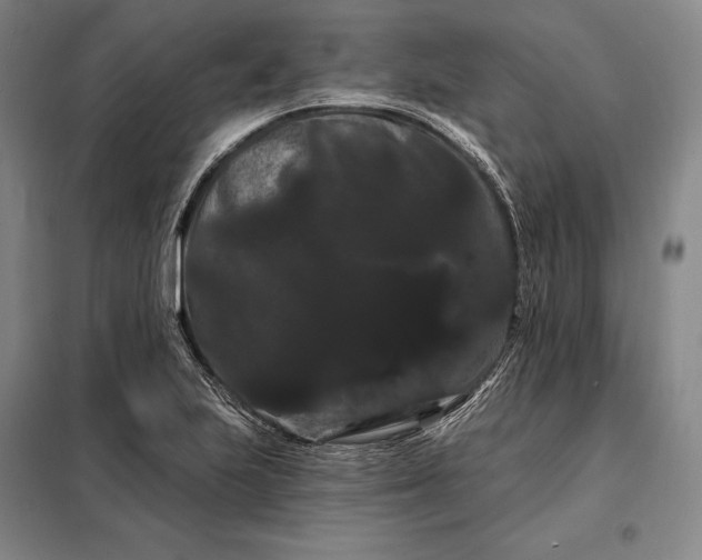 X0000098131223200805011314