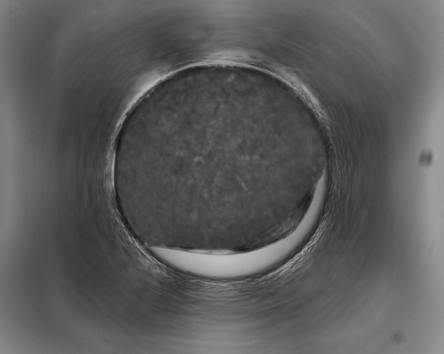 X0000098131224200805011314