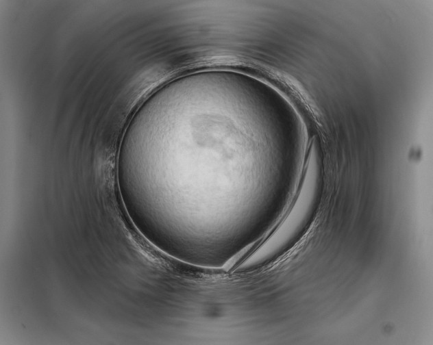 X0000098131225200805011314